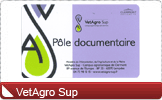 Carte plastique administration